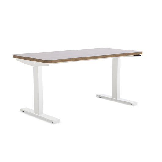 Solo Modern & Adjustable Standing Work Desk | Steelcase Store